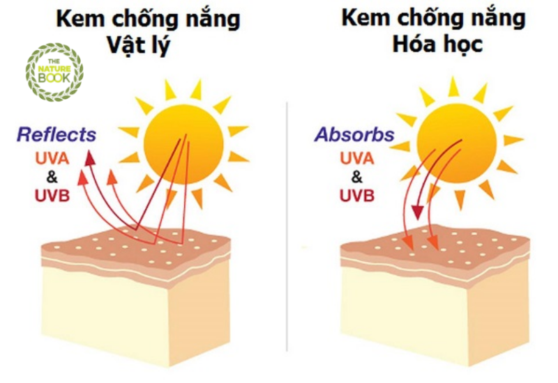 Sự khác nhau của kem chống nắng vật lý và hóa học