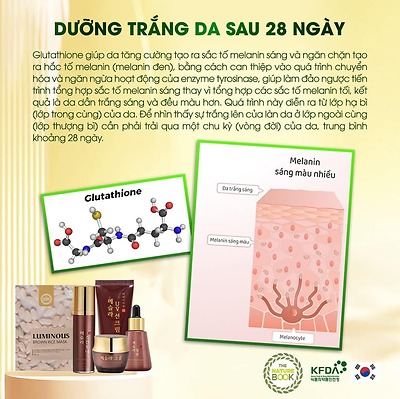 Hãy cùng Mesla Nature Book đánh bay Nám sạm sau 28 ngày