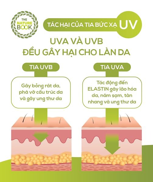 CẢ TIA UVA VÀ UVB ĐỀU GÂY HẠI TỚI DA