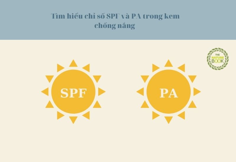 Hiểu về chỉ số SPF và PA trên kem chống nắng 