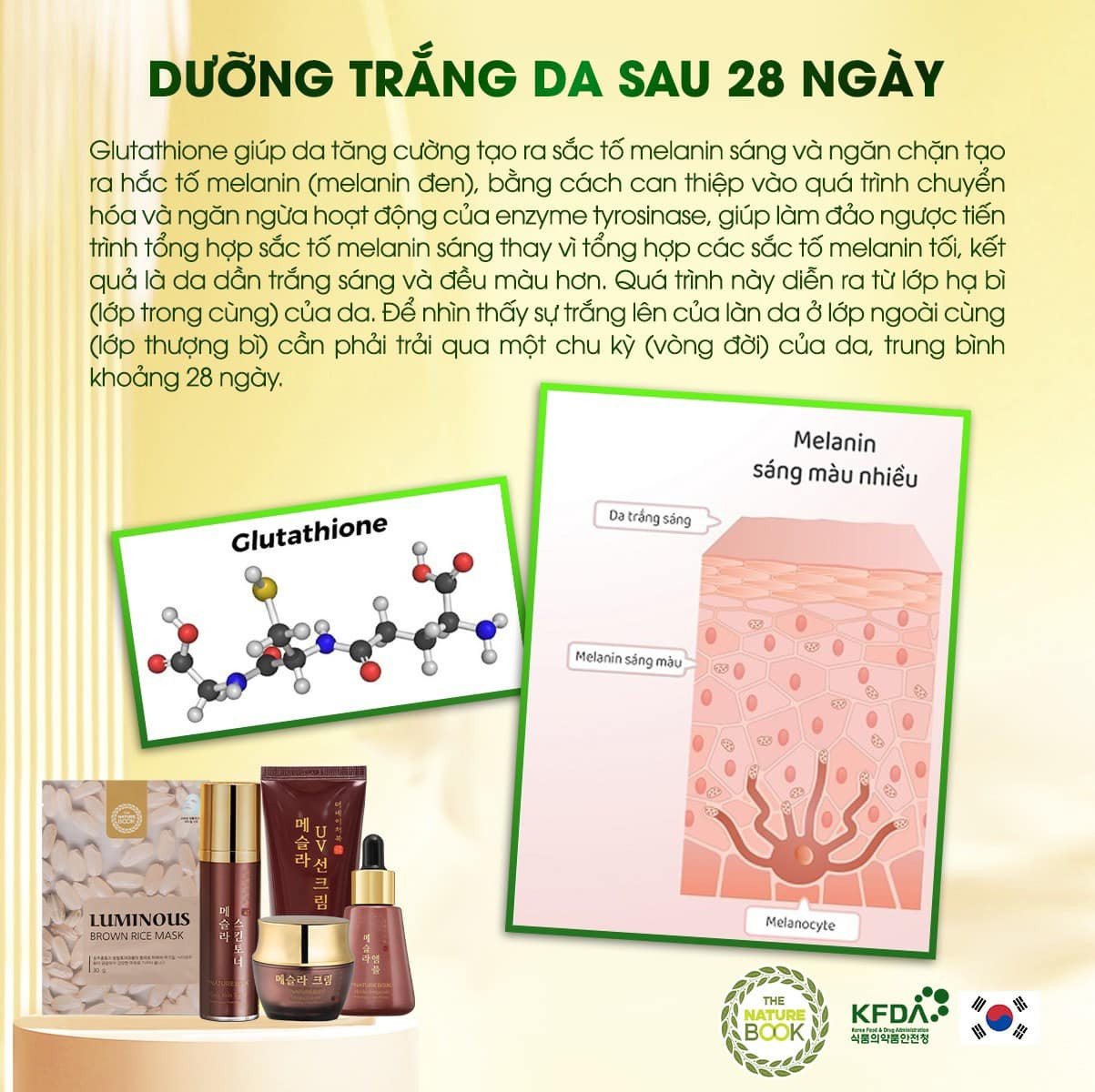 Hãy cùng Mesla Nature Book đánh bay Nám sạm sau 28 ngày